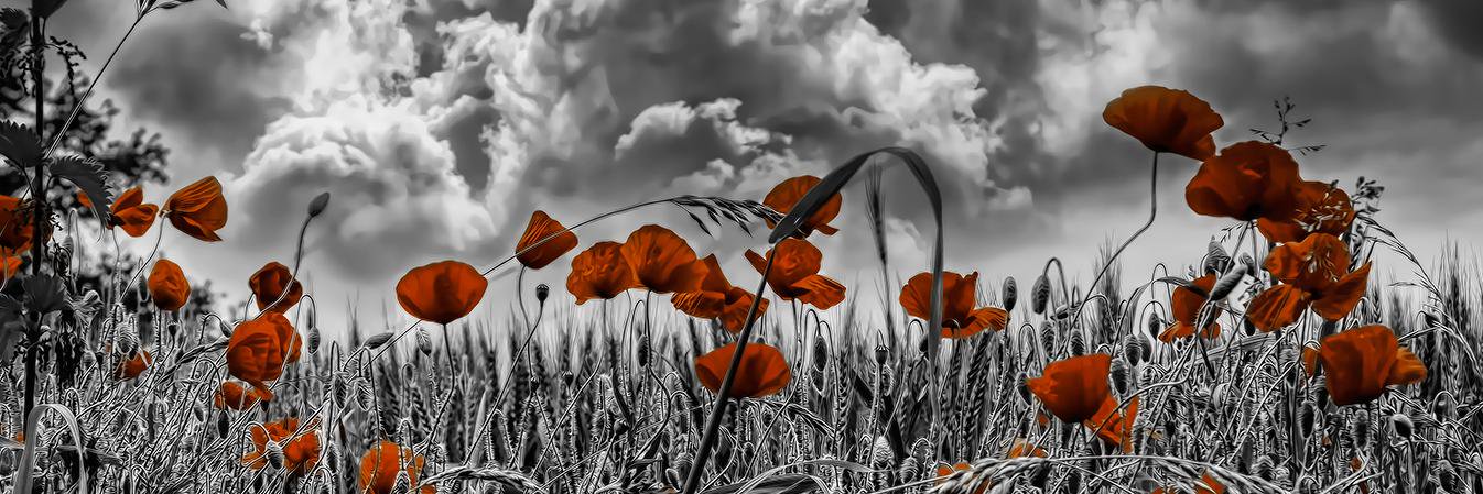 dhwee_dwi's profile banner image