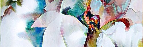 BananaRida's profile banner image