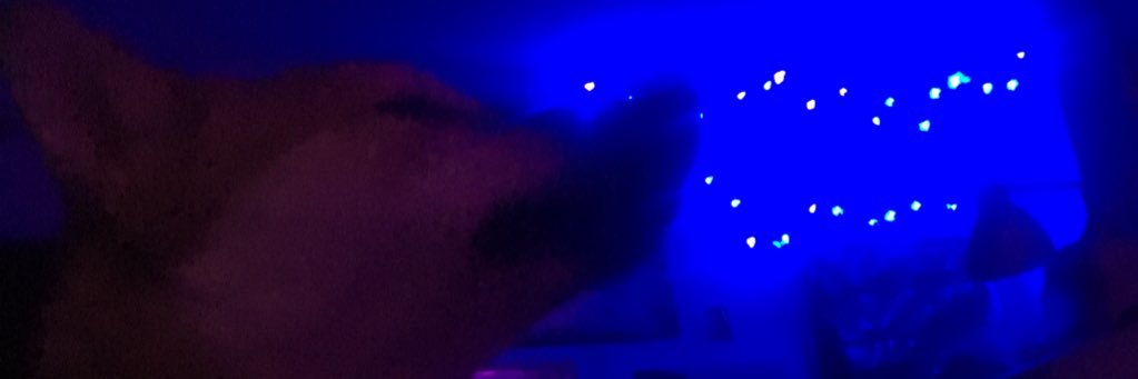 EmilyJohnson_24's profile banner image