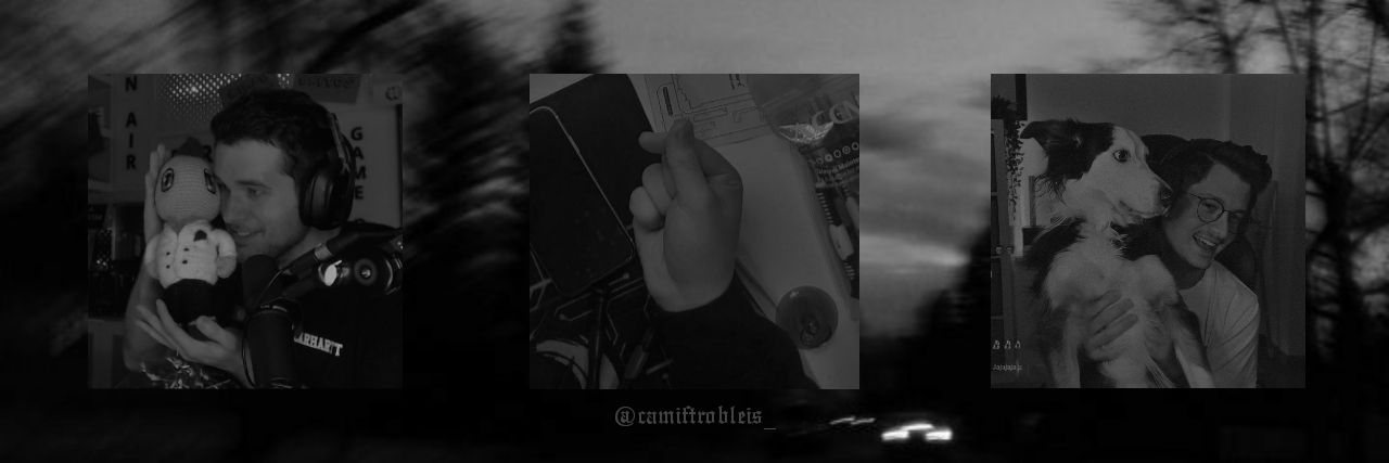 camiftrobleis_'s profile banner image