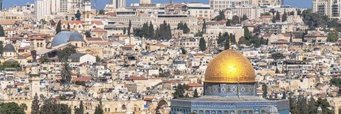 #PalestinePeaceCampaign PPC🌹🕊️🇵🇸 banner