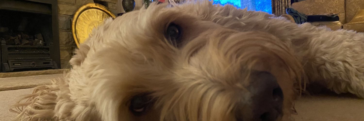 tallulahsim's profile banner image