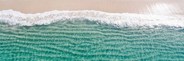 Georgia Papacharalampous banner