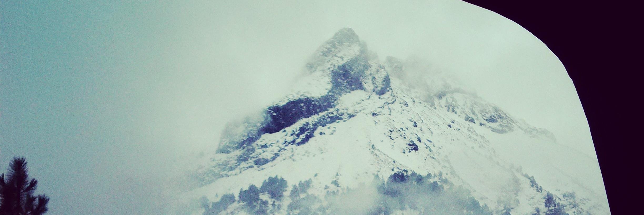 ciervolover's profile banner image