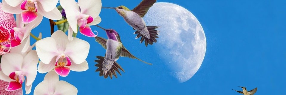 Shierloo's profile banner image