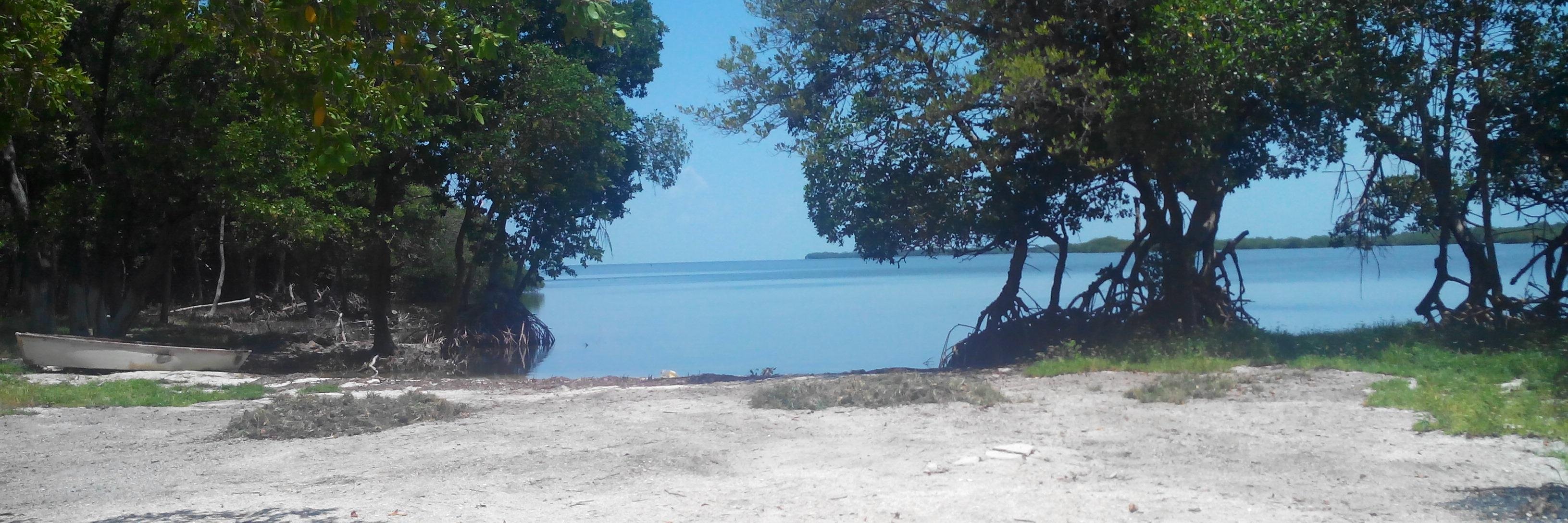 JOSFLORESBAEZA's profile banner image