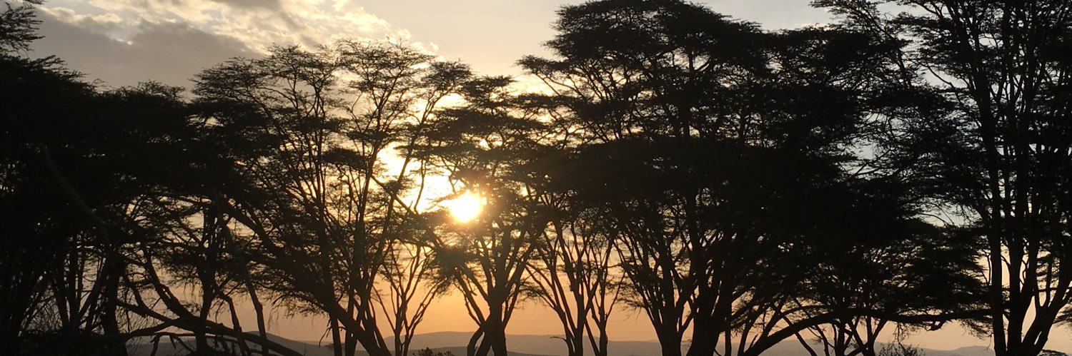 Dr. Valérie Schoof banner