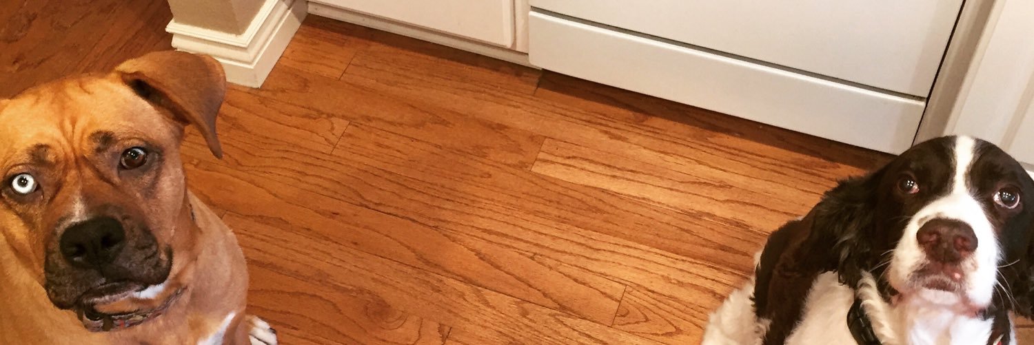 BKallday03's profile banner image