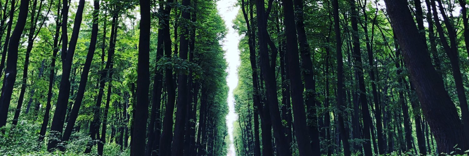 Dmytro Bratanov banner