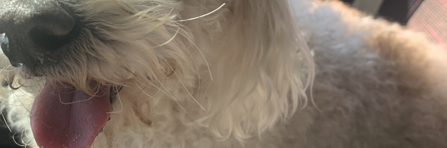jaaaassminee's profile banner image