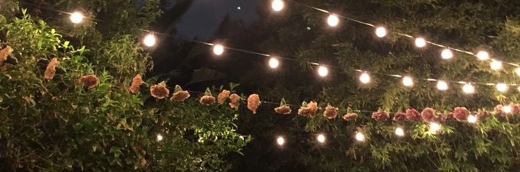 handecomert_'s profile banner image