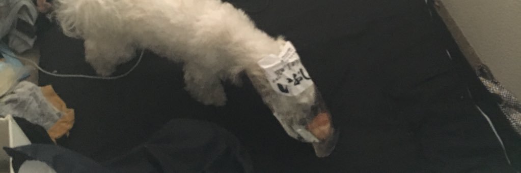Ace_Ryoji's profile banner image