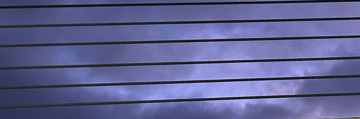 lauraynee's profile banner image