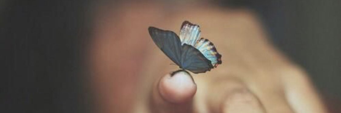 AlhrbyManar's profile banner image