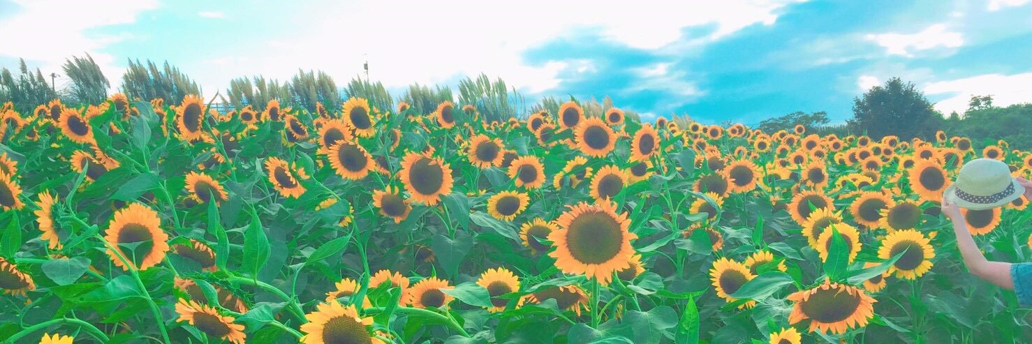yui3443's profile banner image