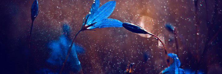 AnoukEZMAC's profile banner image