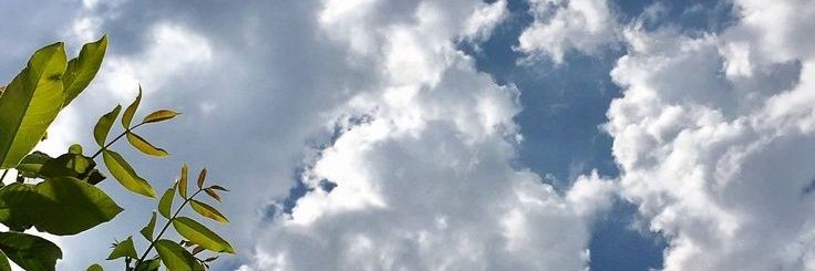 awpplecandy's profile banner image