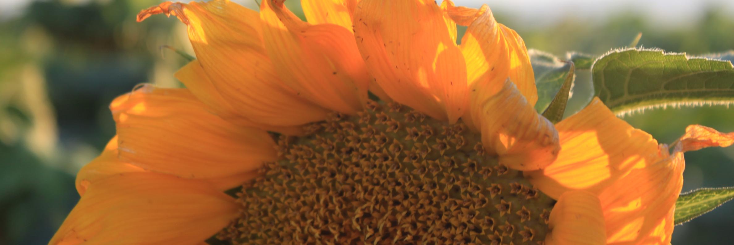 cjwaybri's profile banner image
