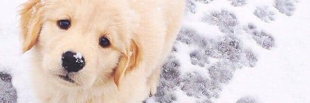 miyanoo__'s profile banner image