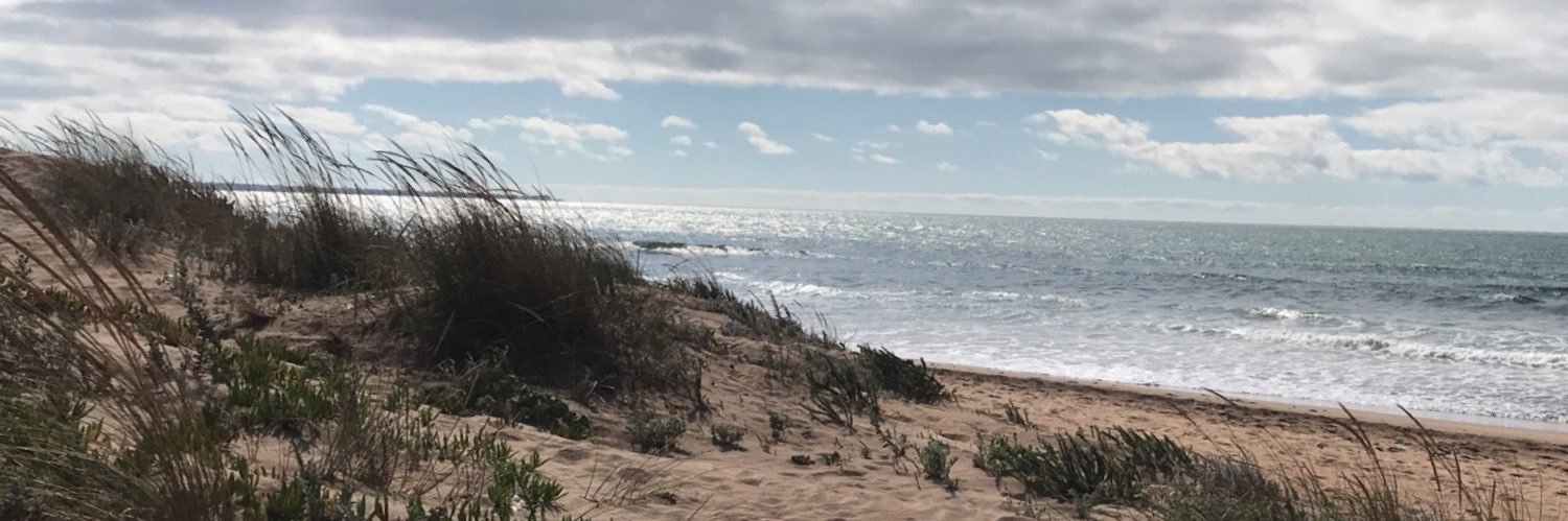 ⭐️ 🏎️💨 ⭐️ banner