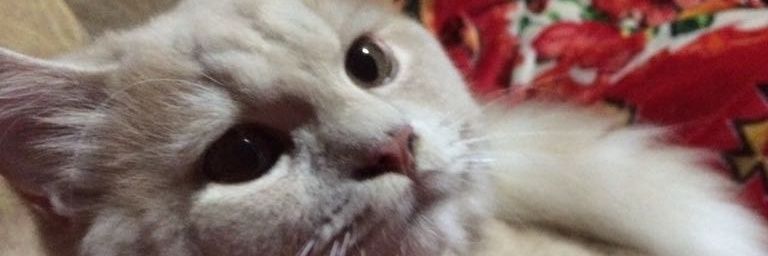 AHanidar's profile banner image