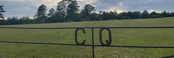 ClaytonQuinnTX Profile Banner