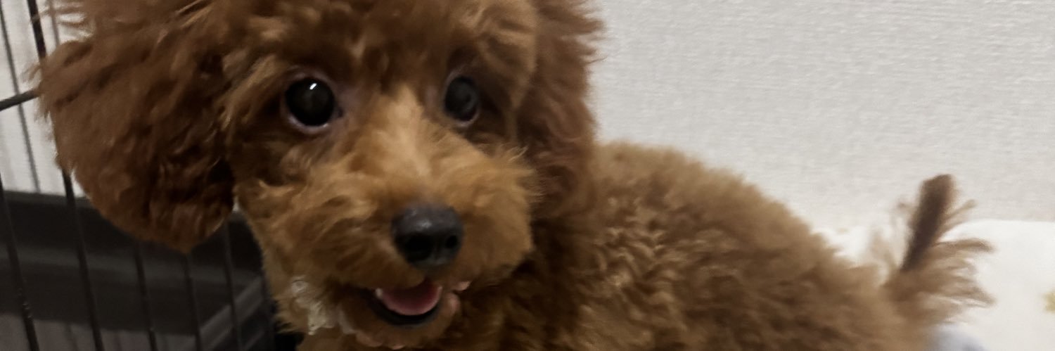____cnnaytn's profile banner image