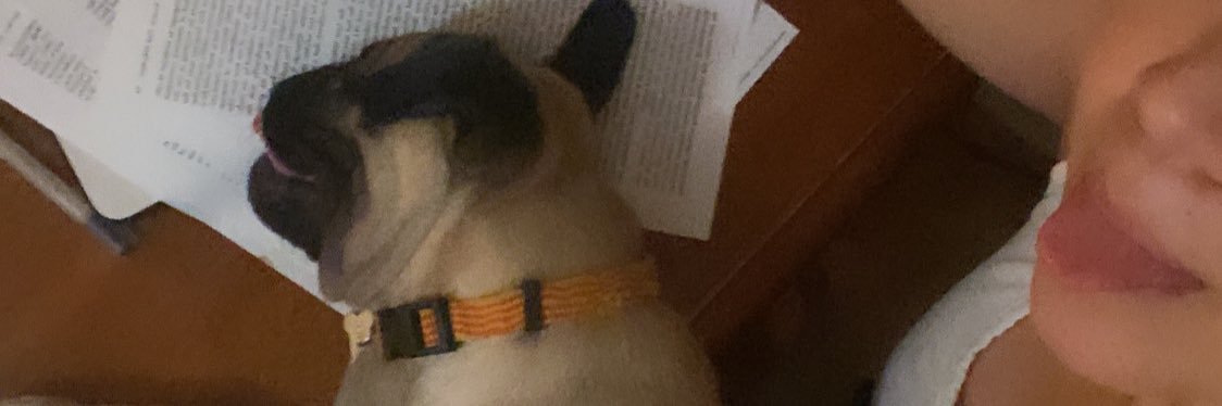 meximtzz's profile banner image
