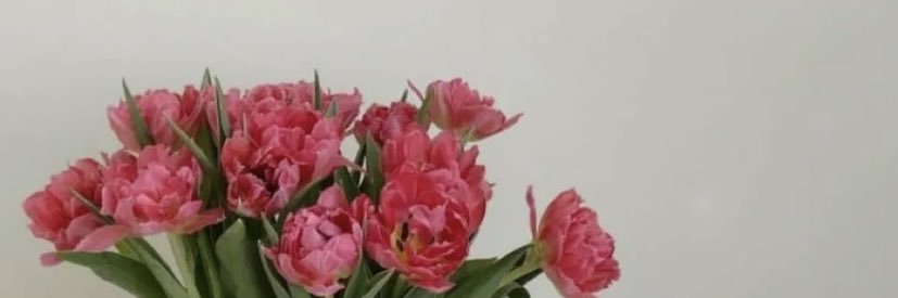 A banner