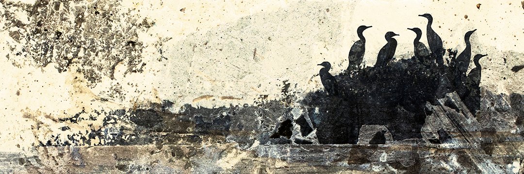 AdrianHillman's profile banner image