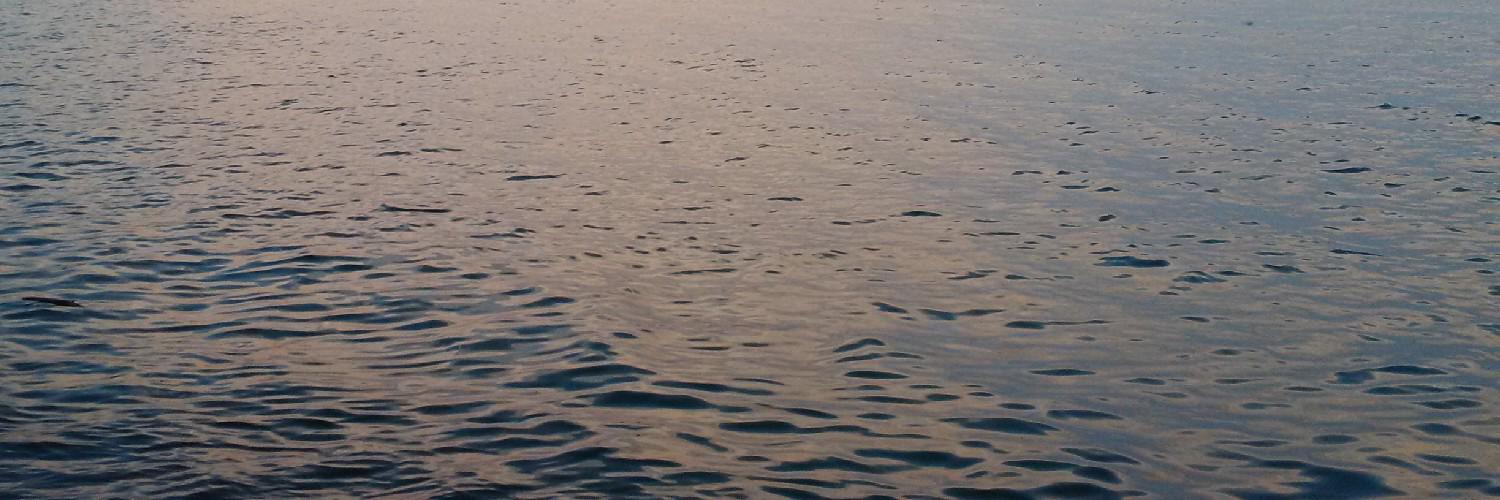 jleelewiis's profile banner image