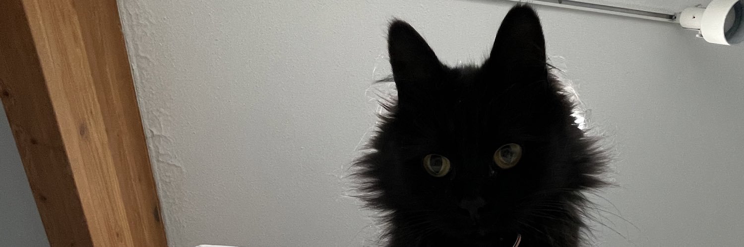 Basilmarie_'s profile banner image