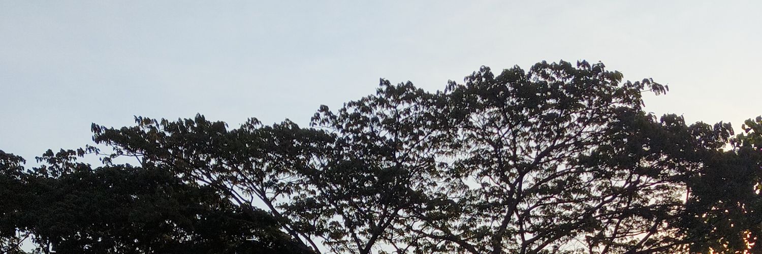 shttahra's profile banner image