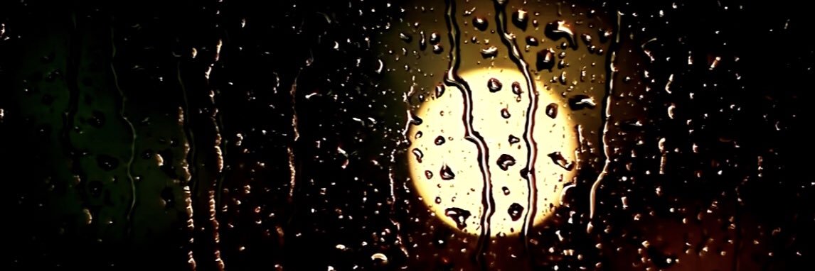 mirzagaribaldi's profile banner image