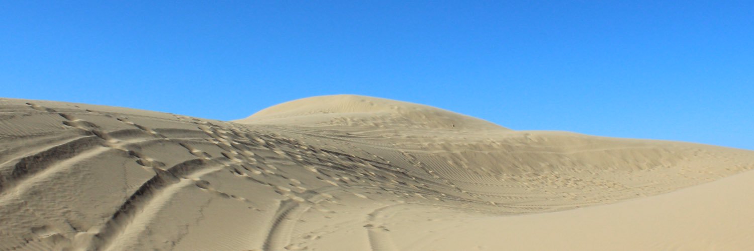 HRyyann's profile banner image