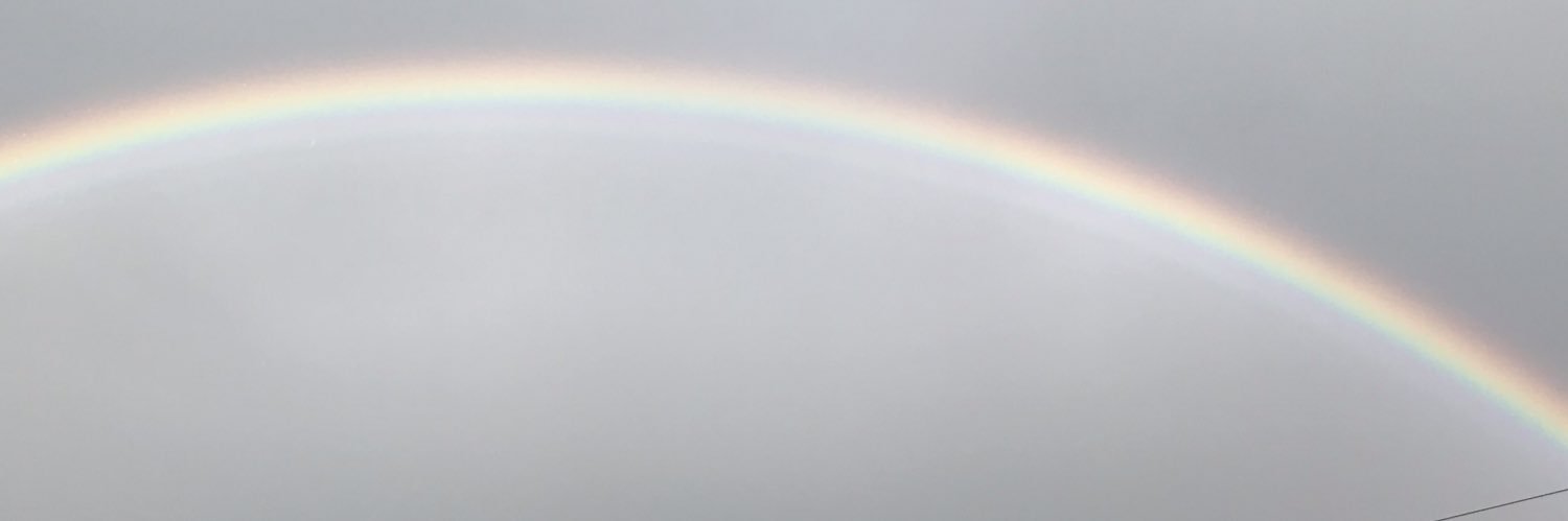 NLSArchitects's profile banner image