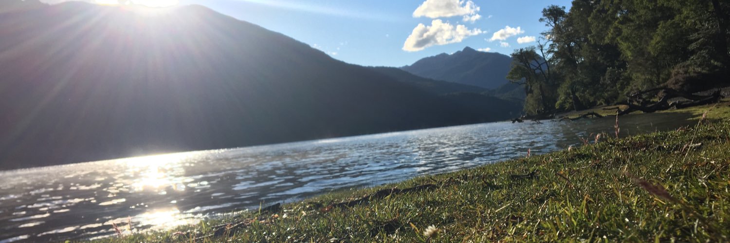 nicolasdiazl's profile banner image