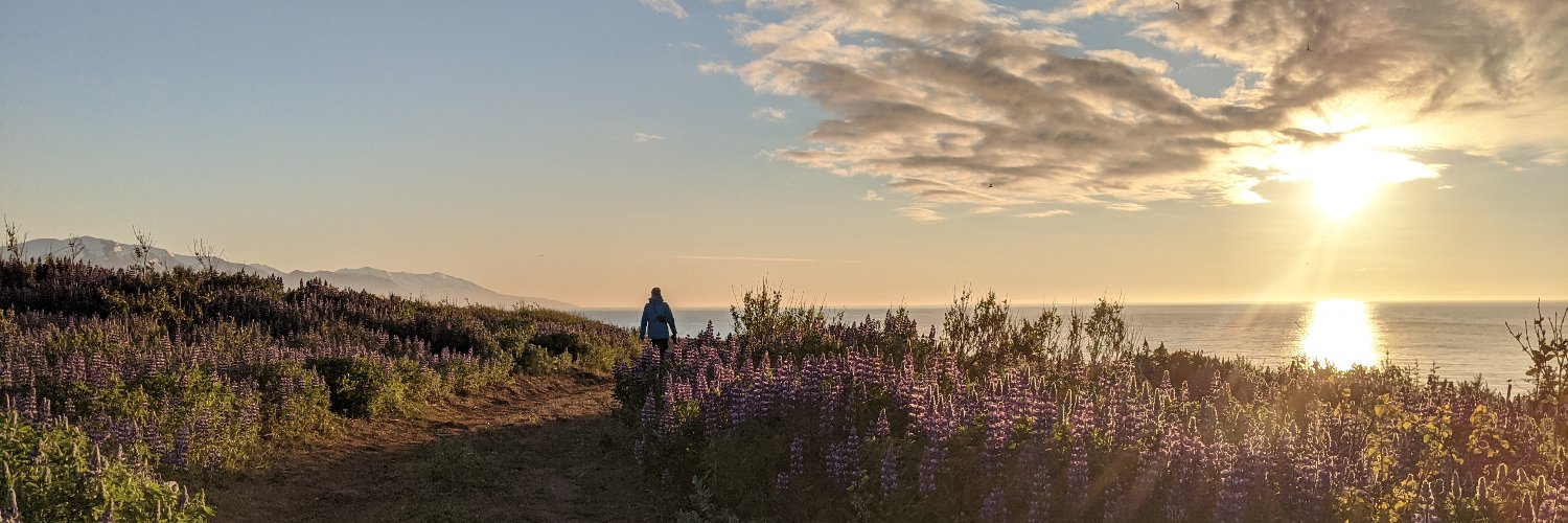 Mathias Gehrig banner