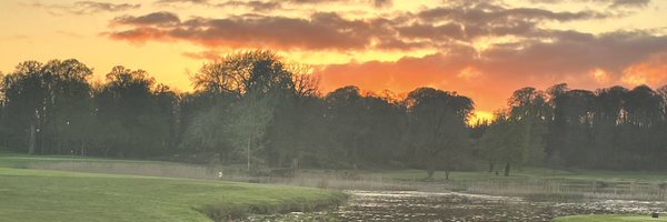 PackerTamar Profile Banner