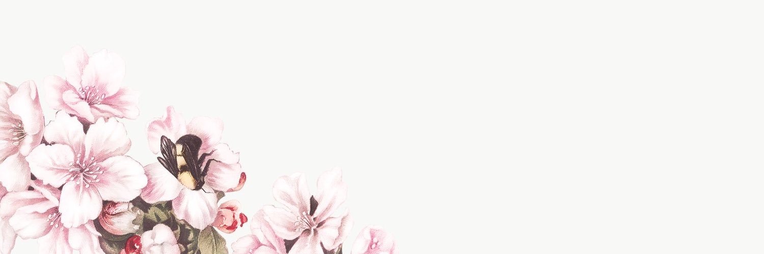 memecakez's profile banner image