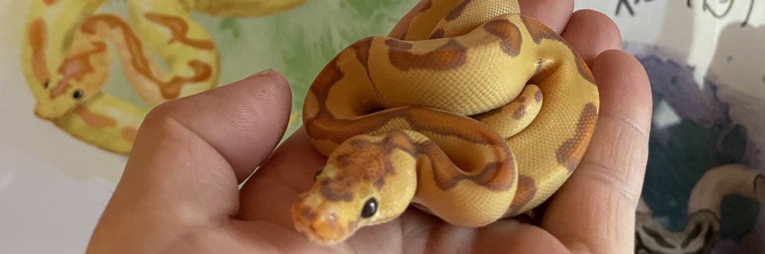 ポンコツあんのうん🐍 banner