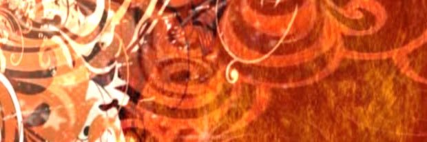 willow :: seeing cavetown 🪲 banner