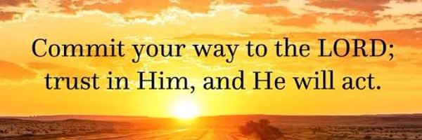 Sallydb_ Profile Banner