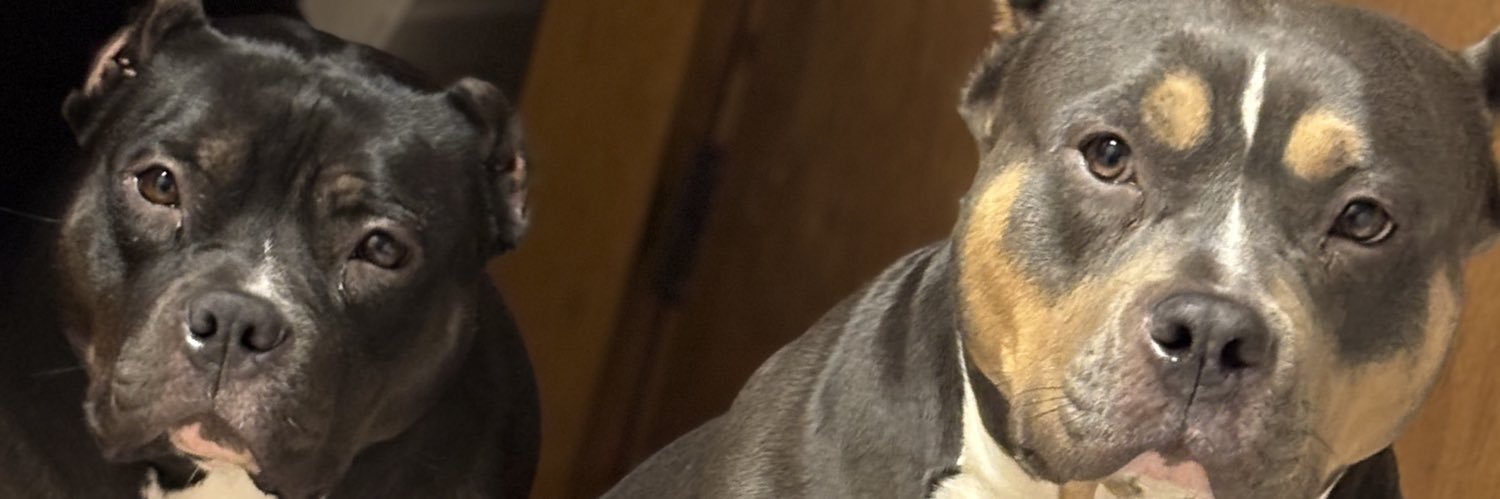 cristooo815's profile banner image