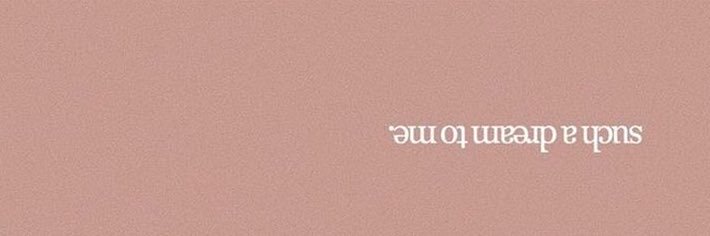 areej banner