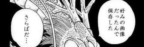 NUTSくん banner