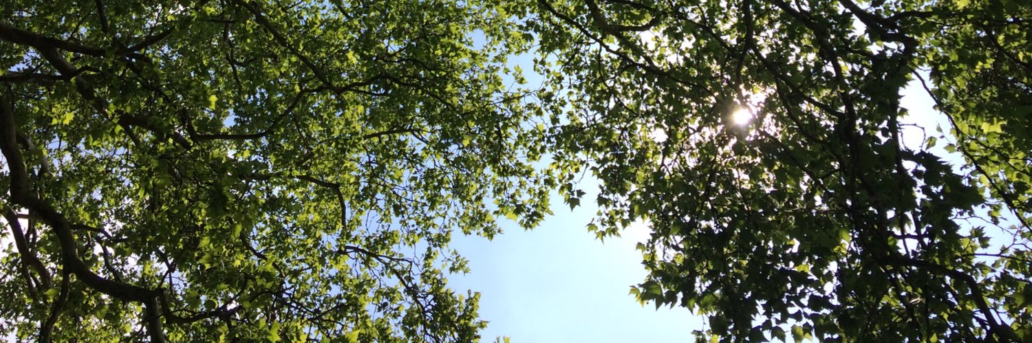 Laure_Is's profile banner image