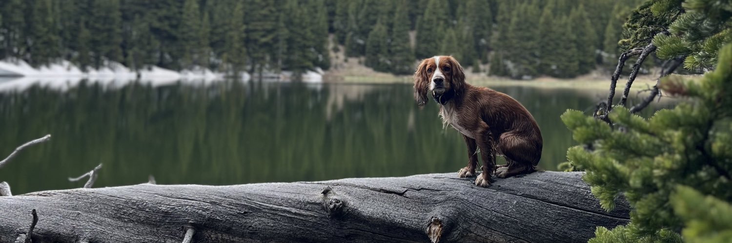 TannerPotts_'s profile banner image