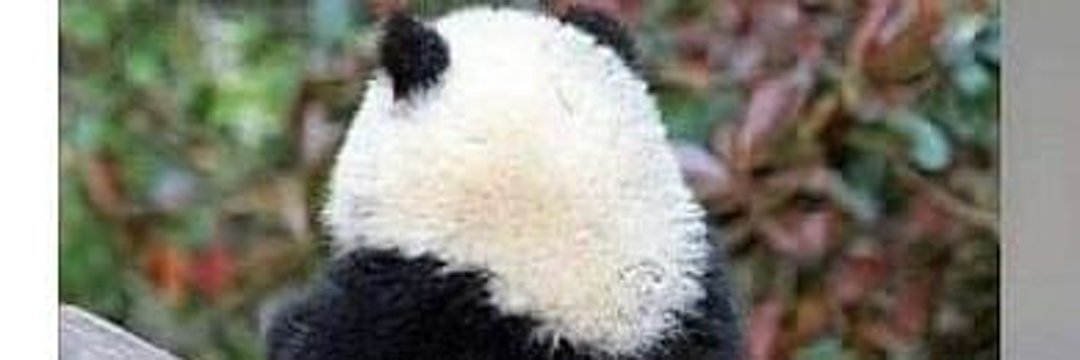 oyyy_fati's profile banner image