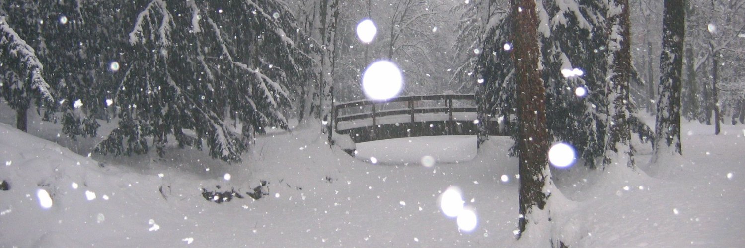 ✩★ Lizzarth ★✩ banner